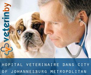 Hôpital vétérinaire dans City of Johannesburg Metropolitan Municipality par municipalité - page 1