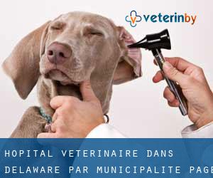 Hôpital vétérinaire dans Delaware par municipalité - page 1