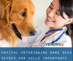 Hôpital vétérinaire dans Deux-Sèvres par ville importante - page 3