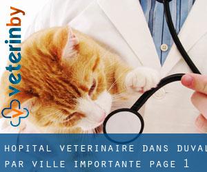 Hôpital vétérinaire dans Duval par ville importante - page 1