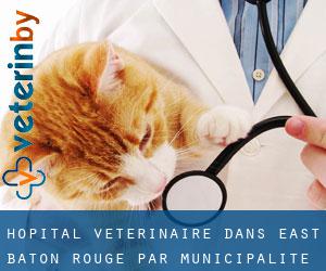 Hôpital vétérinaire dans East Baton Rouge par municipalité - page 1