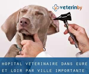 Hôpital vétérinaire dans Eure-et-Loir par ville importante - page 22