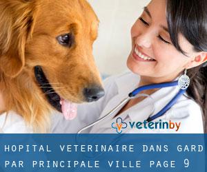 Hôpital vétérinaire dans Gard par principale ville - page 9