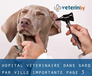 Hôpital vétérinaire dans Gard par ville importante - page 3