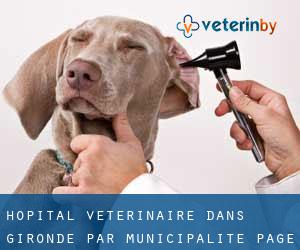 Hôpital vétérinaire dans Gironde par municipalité - page 3