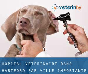 Hôpital vétérinaire dans Hartford par ville importante - page 4