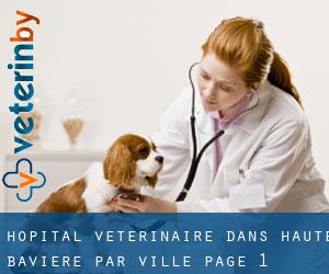 Hôpital vétérinaire dans Haute-Bavière par ville - page 1