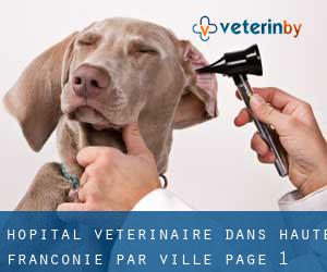 Hôpital vétérinaire dans Haute-Franconie par ville - page 1
