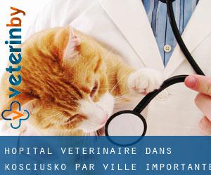 Hôpital vétérinaire dans Kosciusko par ville importante - page 2