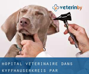 Hôpital vétérinaire dans Kyffhäuserkreis par municipalité - page 1