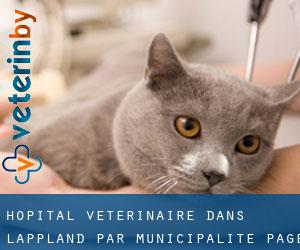 Hôpital vétérinaire dans Lappland par municipalité - page 1