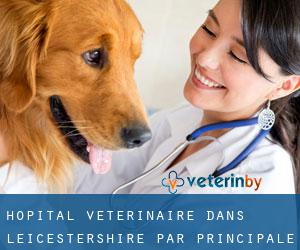 Hôpital vétérinaire dans Leicestershire par principale ville - page 1