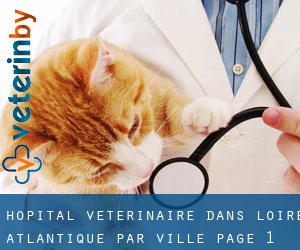 Hôpital vétérinaire dans Loire-Atlantique par ville - page 1