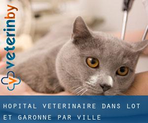 Hôpital vétérinaire dans Lot-et-Garonne par ville importante - page 10