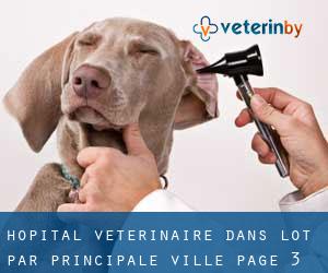 Hôpital vétérinaire dans Lot par principale ville - page 3
