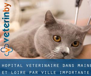 Hôpital vétérinaire dans Maine-et-Loire par ville importante - page 2