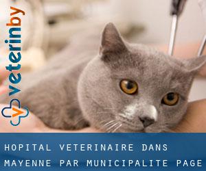 Hôpital vétérinaire dans Mayenne par municipalité - page 3