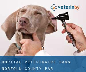 Hôpital vétérinaire dans Norfolk County par municipalité - page 4