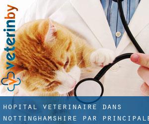 Hôpital vétérinaire dans Nottinghamshire par principale ville - page 1