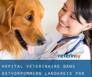 Hôpital vétérinaire dans Ostvorpommern Landkreis par ville - page 1