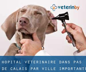 Hôpital vétérinaire dans Pas-de-Calais par ville importante - page 29