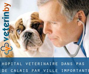 Hôpital vétérinaire dans Pas-de-Calais par ville importante - page 4
