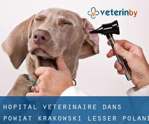 Hôpital vétérinaire dans Powiat krakowski (Lesser Poland Voivodeship) par ville - page 1