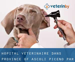 Hôpital vétérinaire dans Province of Ascoli Piceno par ville - page 1