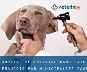Hôpital vétérinaire dans Saint Francois par municipalité - page 1