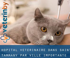 Hôpital vétérinaire dans Saint Tammany par ville importante - page 1