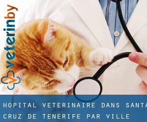 Hôpital vétérinaire dans Santa Cruz de Ténérife par ville - page 1