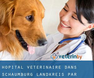Hôpital vétérinaire dans Schaumburg Landkreis par municipalité - page 1