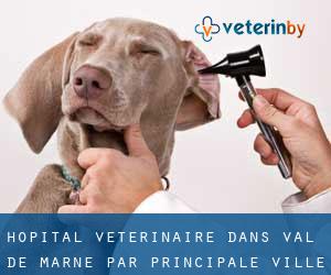 Hôpital vétérinaire dans Val-de-Marne par principale ville - page 2