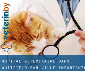 Hôpital vétérinaire dans Whitfield par ville importante - page 1