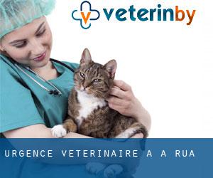 Urgence vétérinaire à A Rúa
