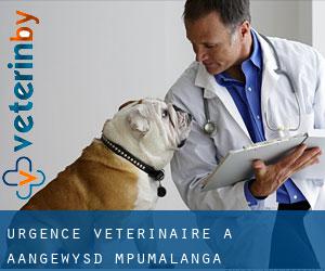 Urgence vétérinaire à Aangewysd (Mpumalanga)