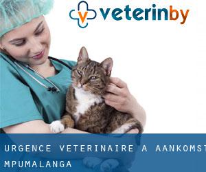 Urgence vétérinaire à Aankomst (Mpumalanga)