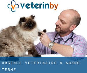Urgence vétérinaire à Abano Terme