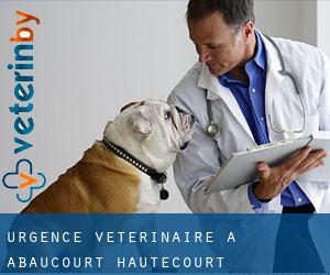 Urgence vétérinaire à Abaucourt-Hautecourt