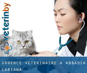 Urgence vétérinaire à Abbadia Lariana