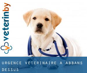 Urgence vétérinaire à Abbans-Dessus