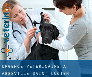 Urgence vétérinaire à Abbeville-Saint-Lucien