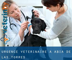 Urgence vétérinaire à Abia de las Torres