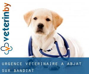 Urgence vétérinaire à Abjat-sur-Bandiat