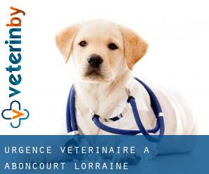 Urgence vétérinaire à Aboncourt (Lorraine)
