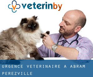 Urgence vétérinaire à Abram-Perezville