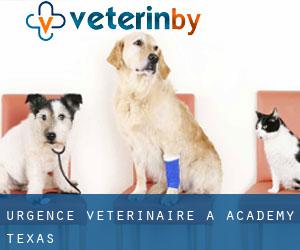 Urgence vétérinaire à Academy (Texas)