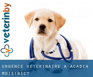 Urgence vétérinaire à Acadia M.District