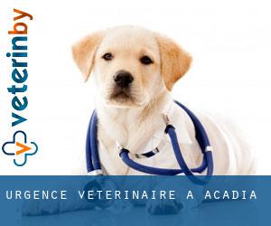Urgence vétérinaire à Acadia