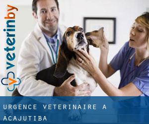 Urgence vétérinaire à Acajutiba